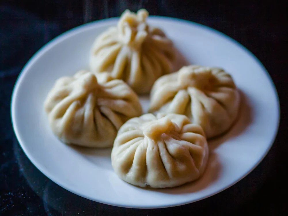 Chinese Dim Sum Dumplings
